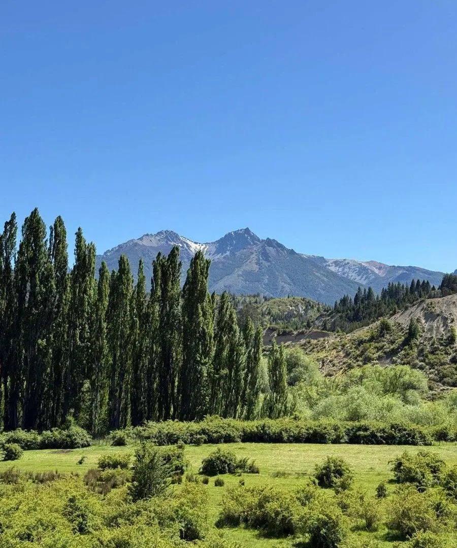 Casa en Paraje Arroyo Minas - Epuyén 8