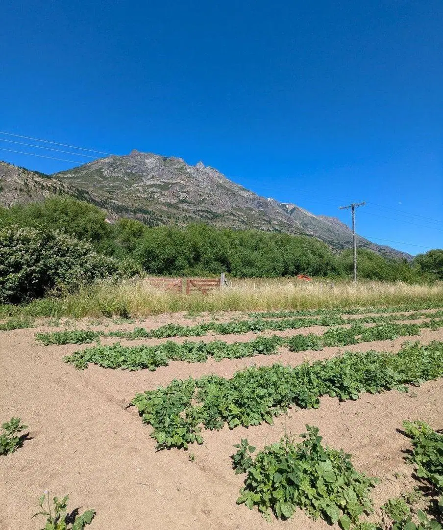 Oportunidad Lote en la Localidad de El Hoyo 4