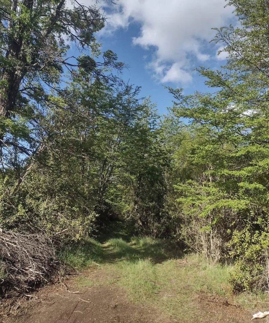 2.4 hectáreas de refugio natural en Trevelin . 3