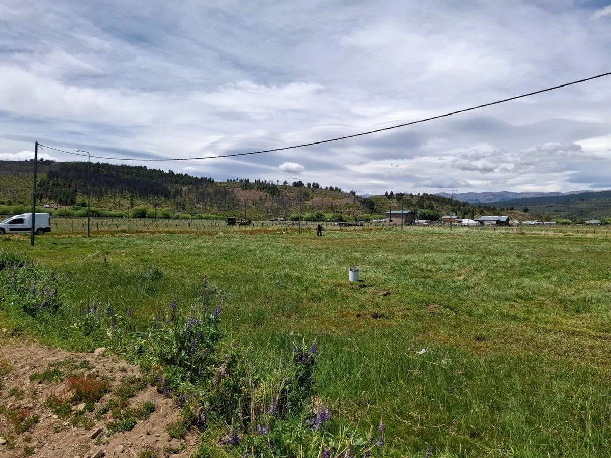 Terreno en Cholila 5
