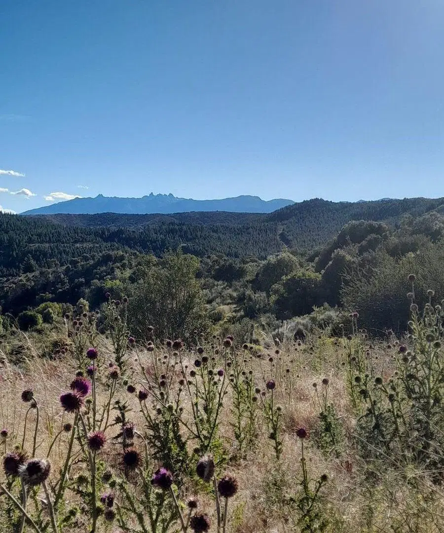 Terreno en Esquel 5