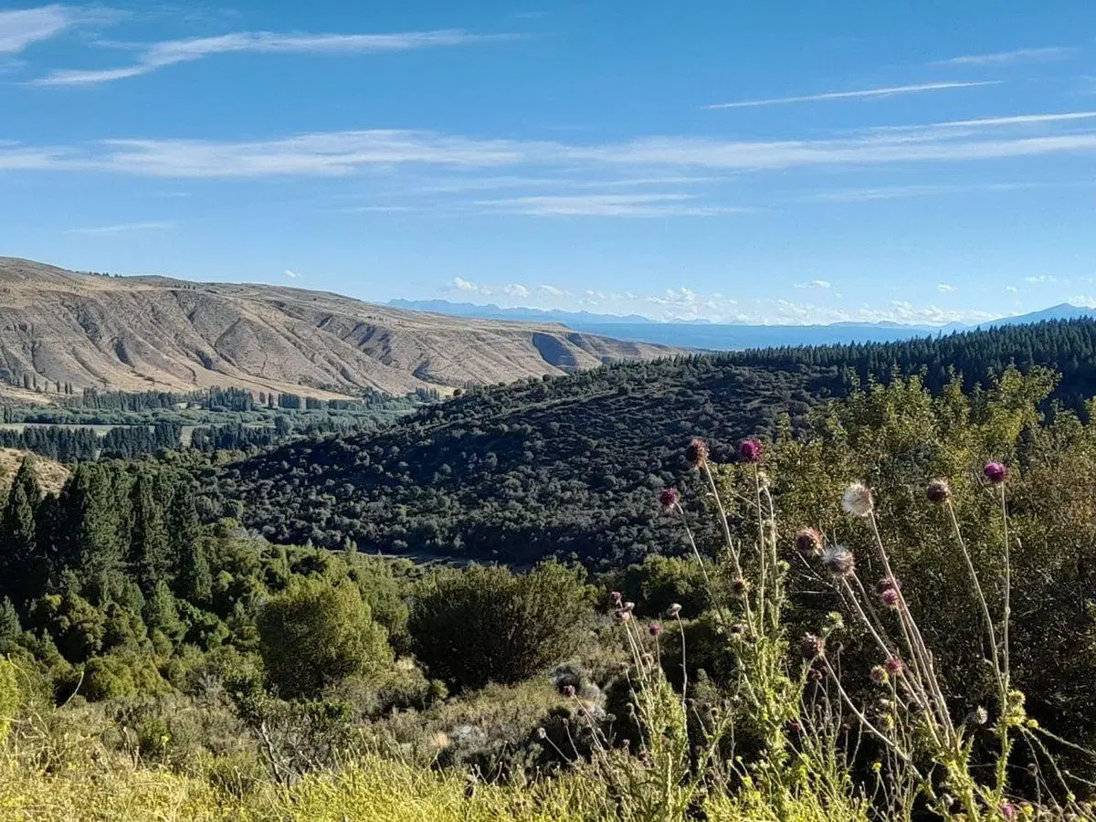 Terreno en Esquel 1