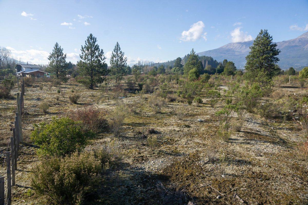 Foto de Terreno en Paraje Entre Ríos, imagen 3