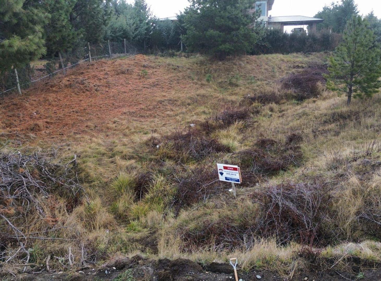 Foto de Terreno en Trevelin, imagen 4