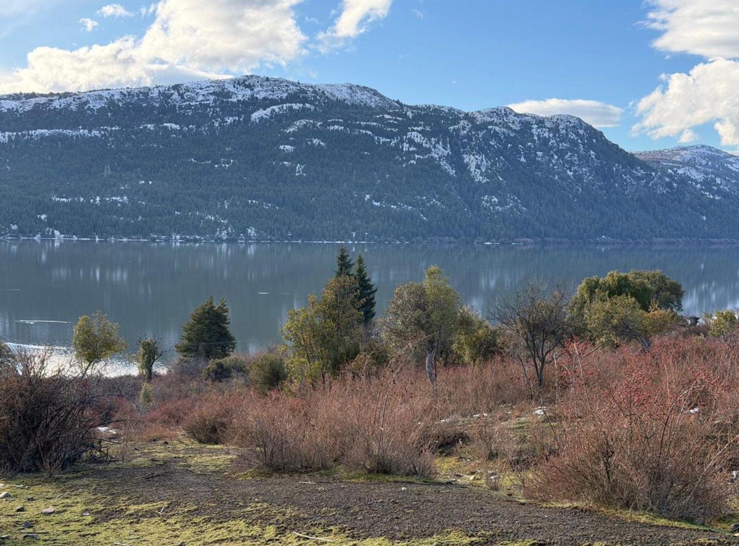 Foto de TERRENO CON VISTA PANORÁMICA AL LAGO PELLEGRINI, imagen 4
