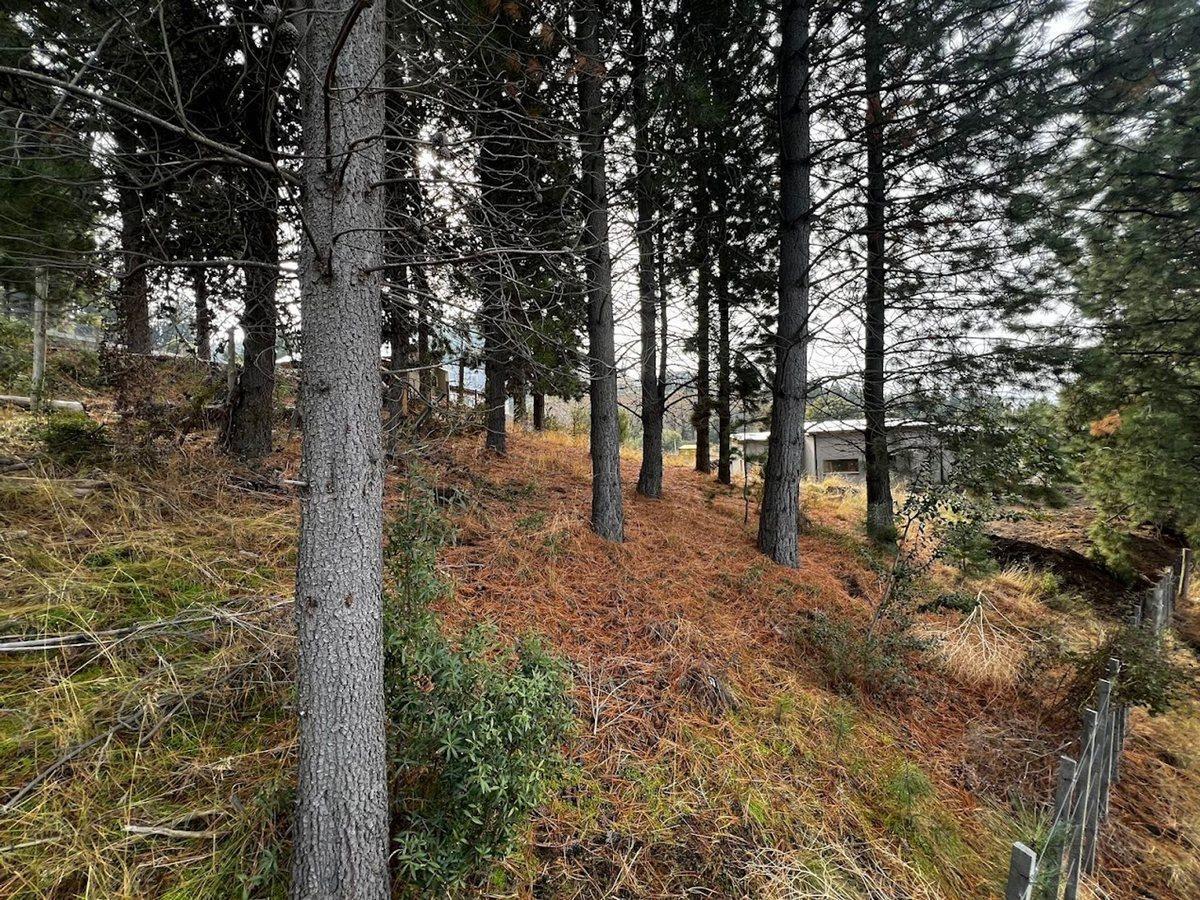 Foto de Terreno en Villa Ayelén, imagen 2
