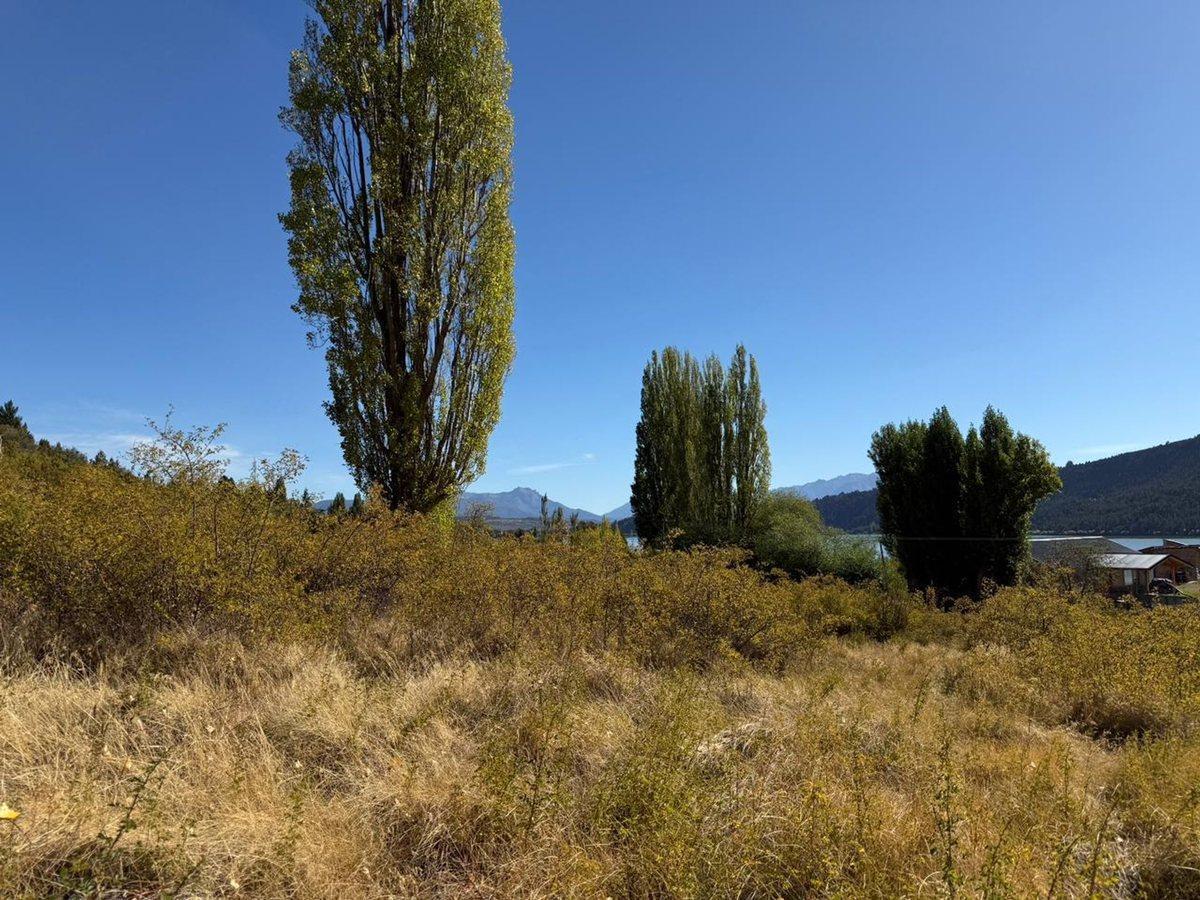 Foto de Viví la Patagonia,terreno frente al Lago Mosquito, imagen 2