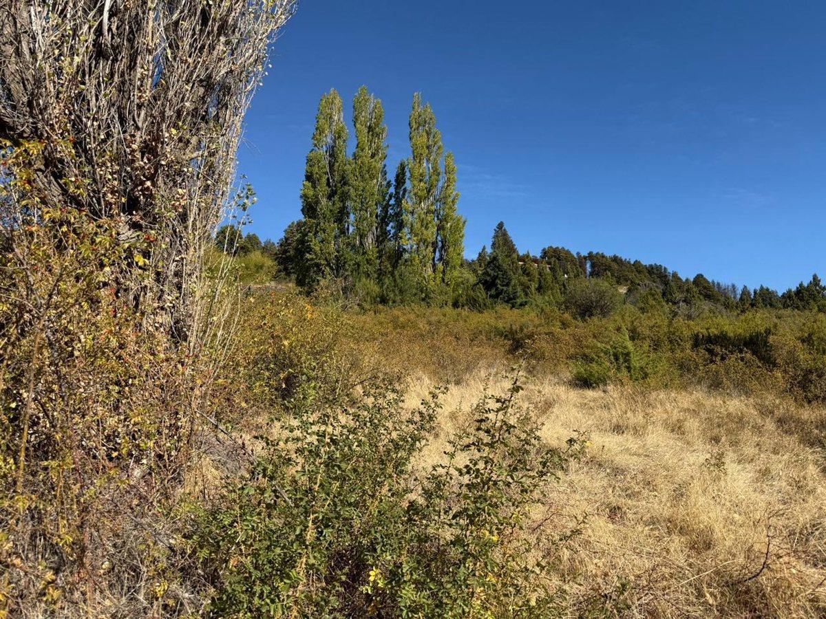 Foto de Viví la Patagonia,terreno frente al Lago Mosquito, imagen 5