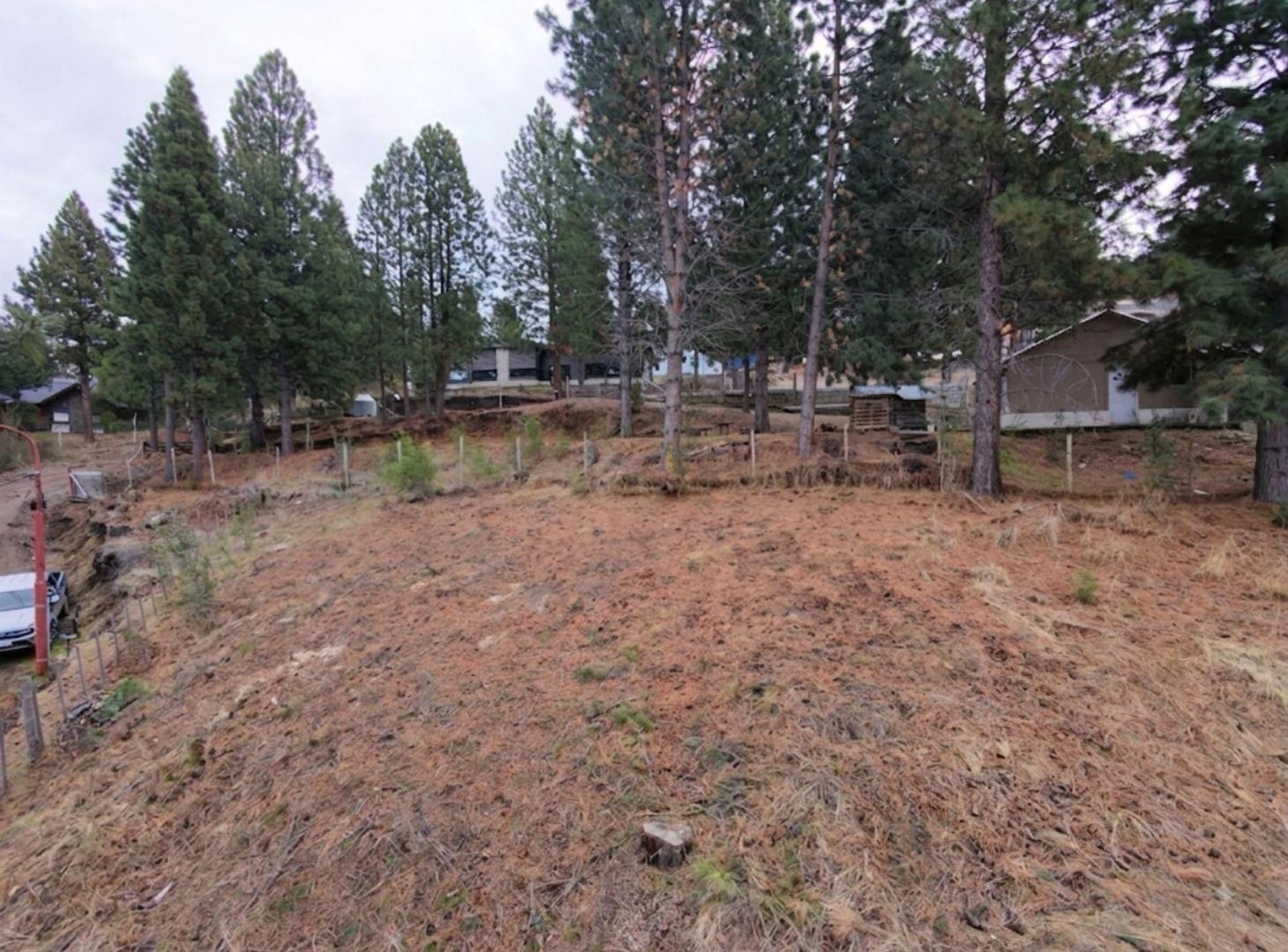 Foto de Terreno en Villa Ayelén, imagen 1