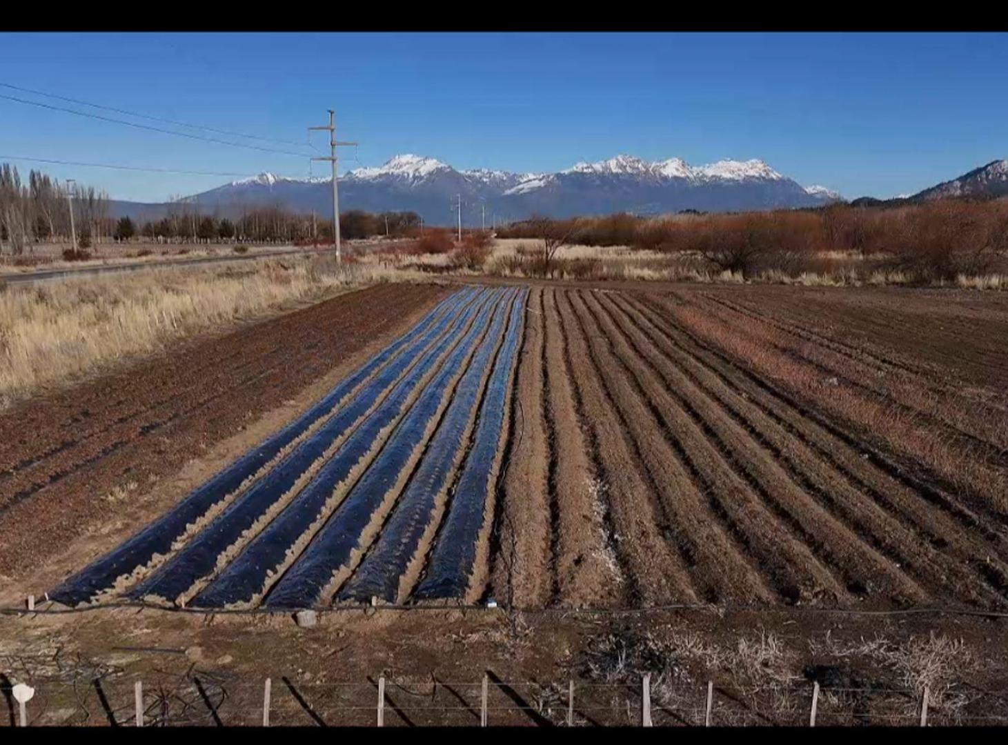 Foto de TREVELIN-1 Hectárea-Luz-Agua c/cisterna, imagen 3