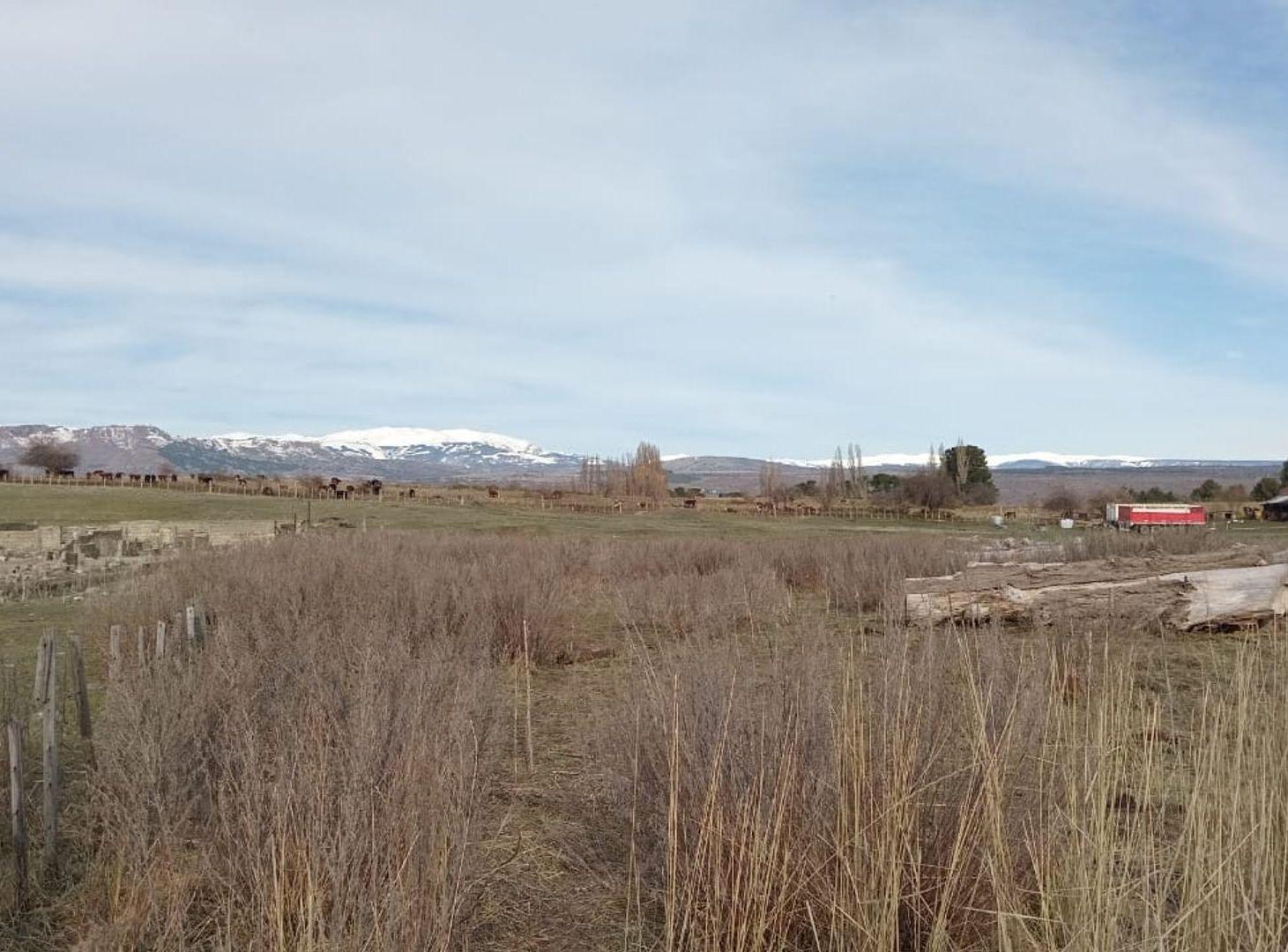 Foto de Terreno en Trevelin 8.320 mts2., imagen 5