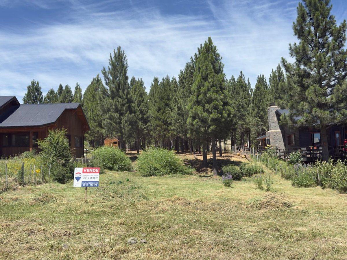 Foto de Lote en Trevelin 975 mts2 -15,6 m x 62,5 m, imagen 2