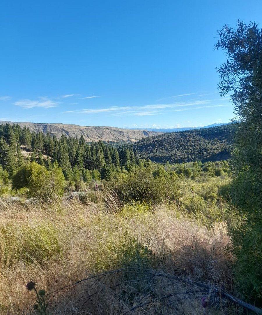 Foto de Terreno en Esquel, imagen 3