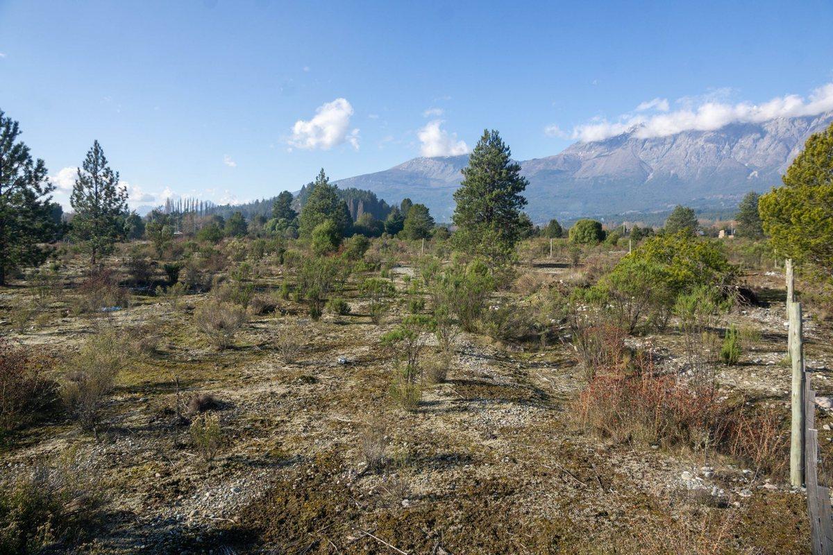 Foto de Terreno a metros del Río Quenquentreu, Lago Puelo, imagen 1