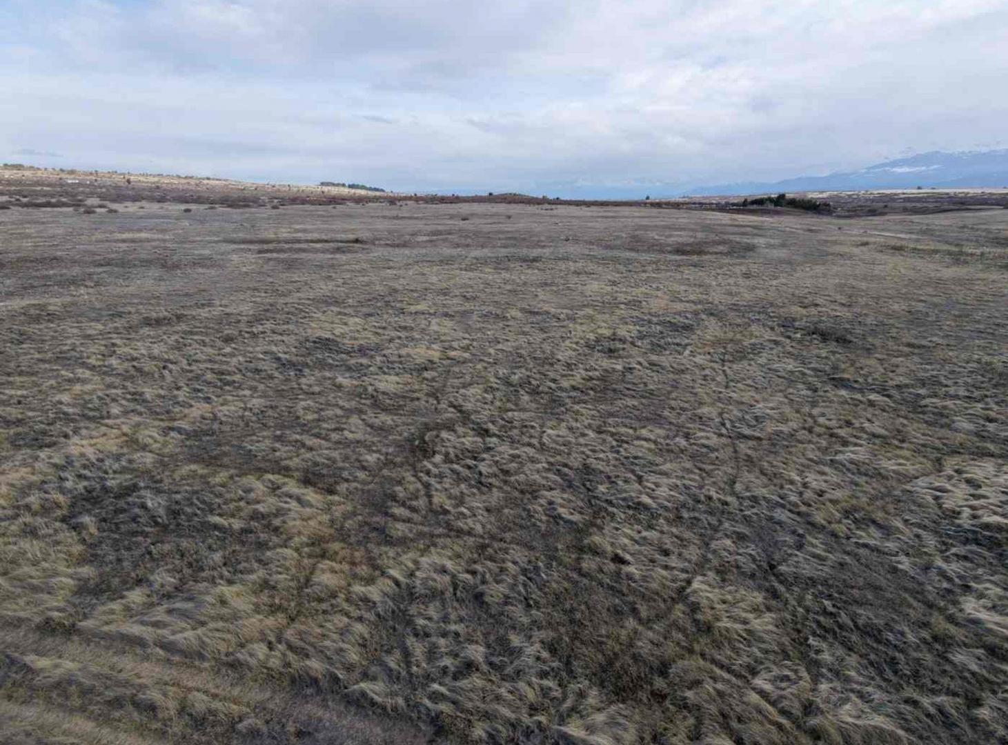 Foto de Terreno de 3ha, imagen 3