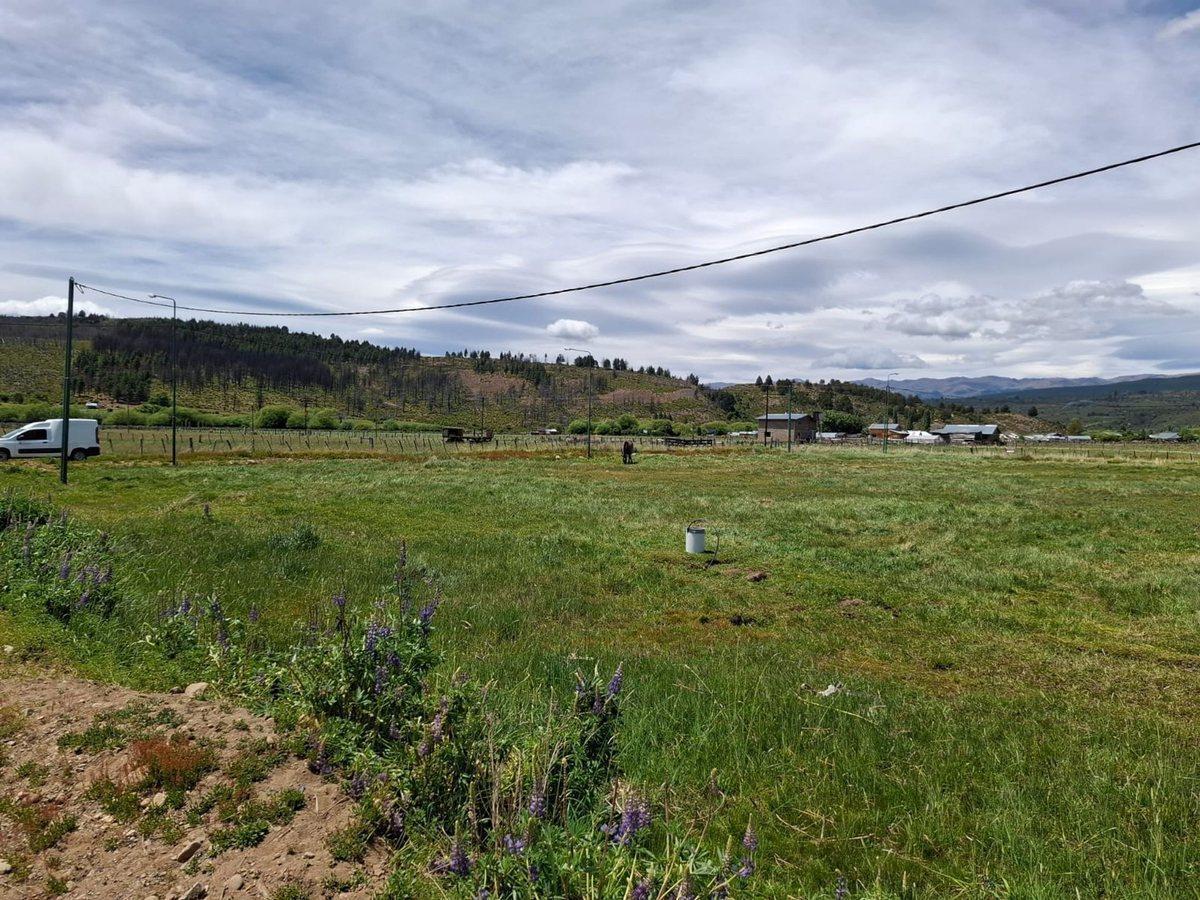 Foto de Terreno en Cholila, imagen 1