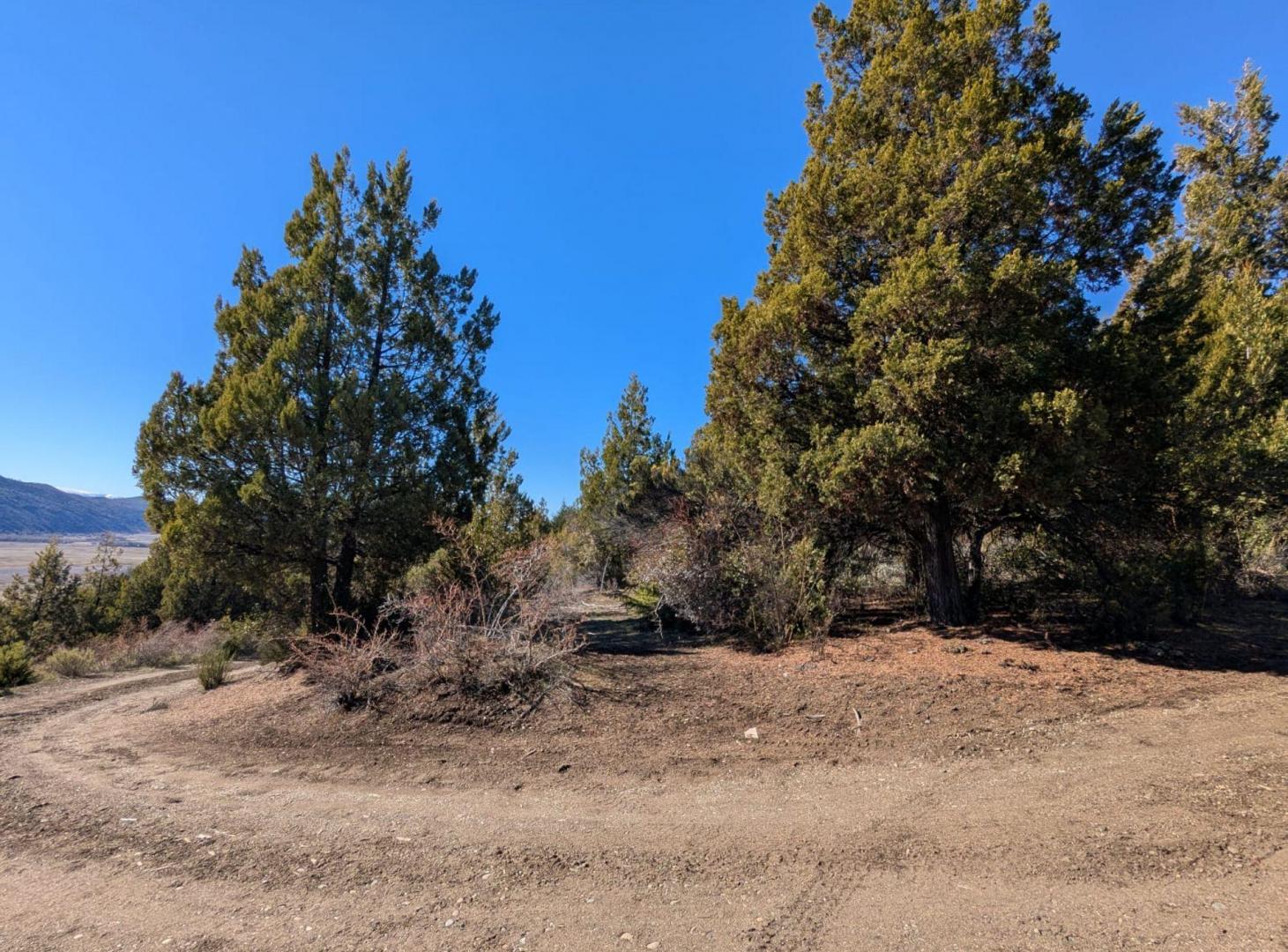 Foto de Terreno 1 ha en bosque nativo, vista Lago Mosquito, imagen 5