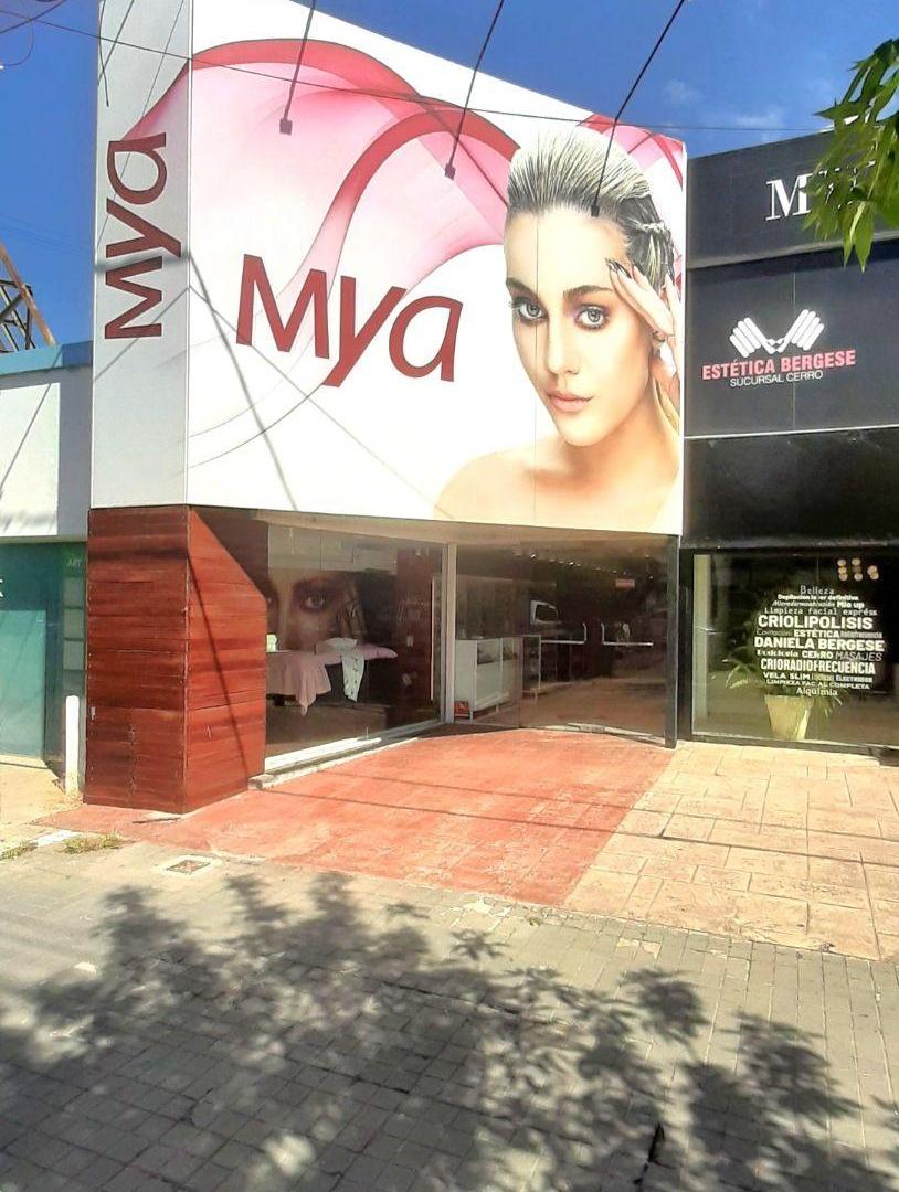 Foto de ALQUILER DE LOCAL SOBRE AVENIDA RAFAEL NUÑEZ 3961, imagen 3