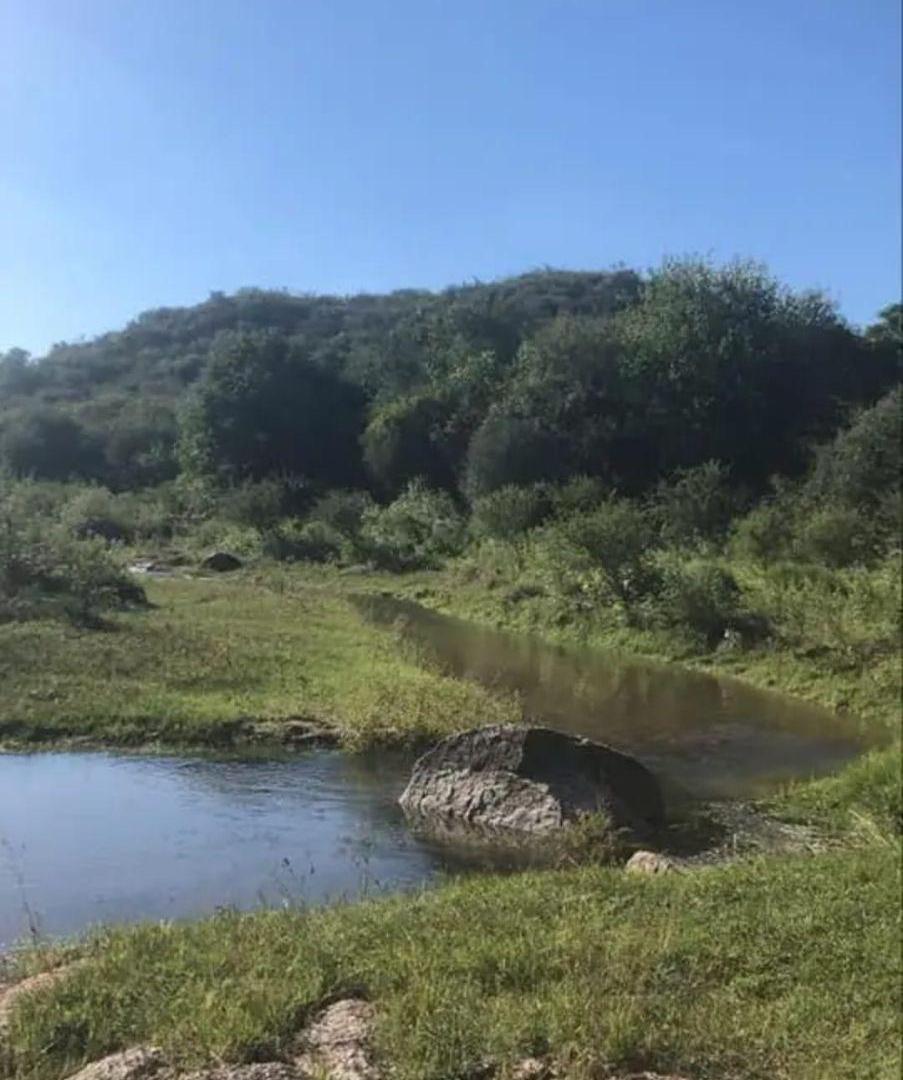 Foto de Vendo Campo en Villa Tulumba, imagen 2