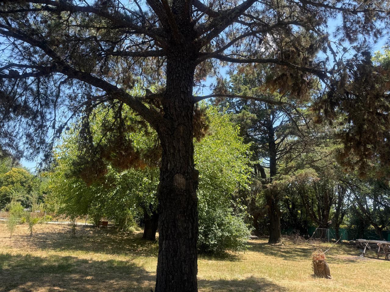 Venta Terreno en Villa Rosa Pilar ideal para desarrollo (7 lotes)