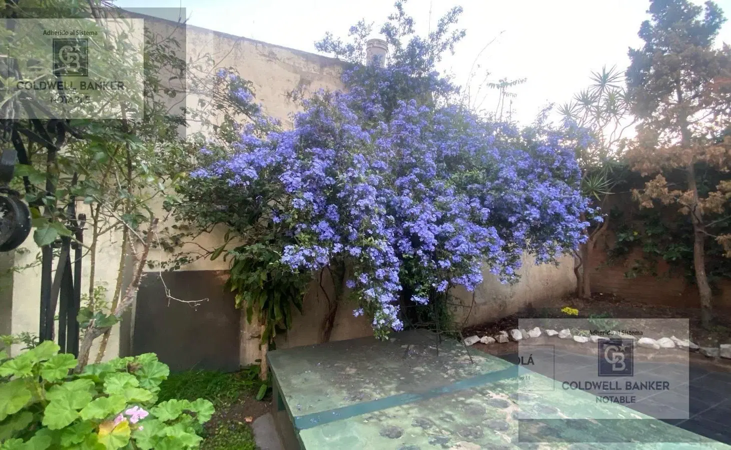 Departamento PB venta 3 ambientes con Jardin y parrilla Caballito 4