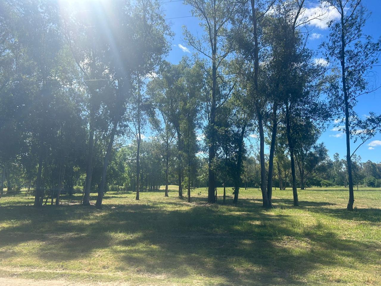 Foto de VENTA CHACRA CON VISTA AL GOLF ZÁRATE, imagen 4