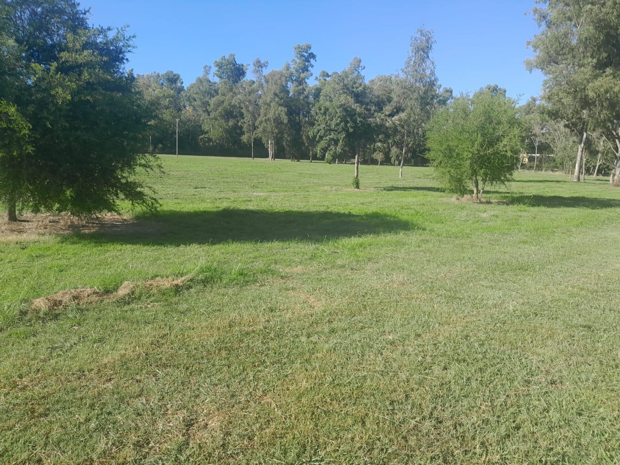 Foto de VENTA CHACRA CON VISTA AL GOLF ZÁRATE, imagen 3