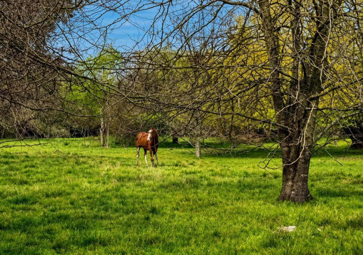 Foto de VENTA de terrenos entre Pilar y Loma verdad de 700m2 a 1000m2, imagen 5