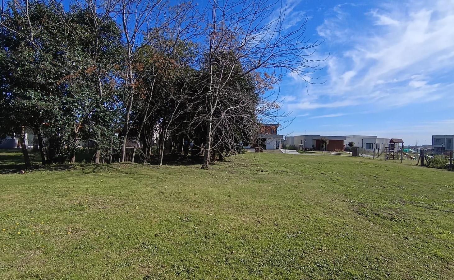 Foto de Venta de terreno en Pilar del Este, imagen 2
