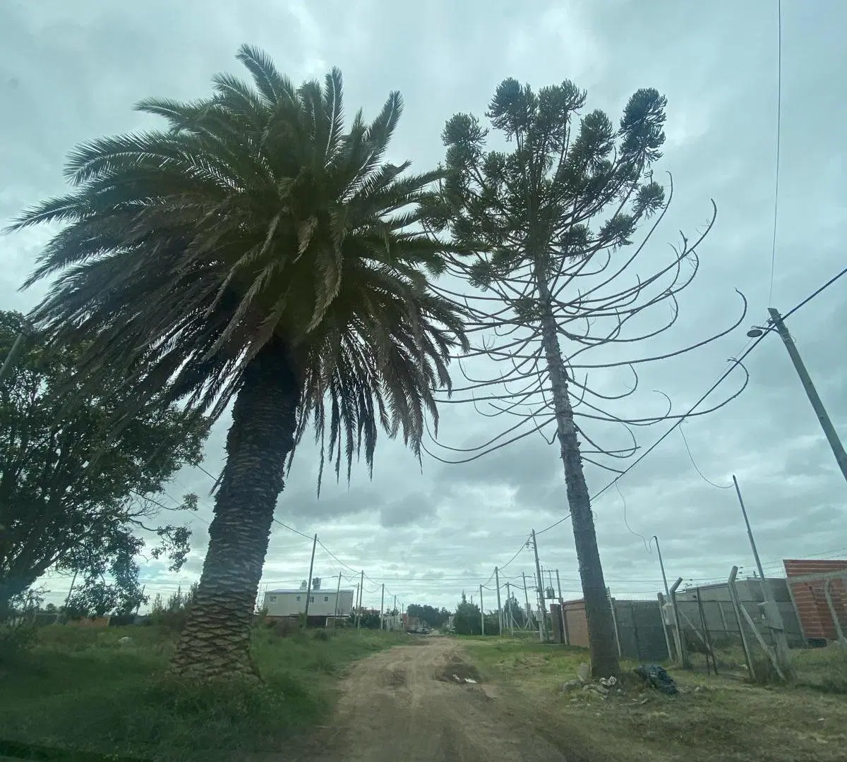 Terreno - La Plata 3