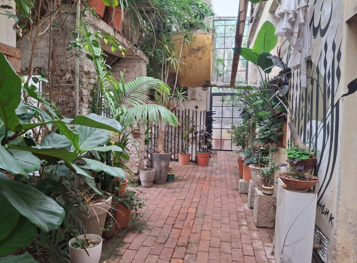 Foto de VENTA CASA USO PROFESIONAL Y COMERCIAL ZONA CENTRO, imagen 4