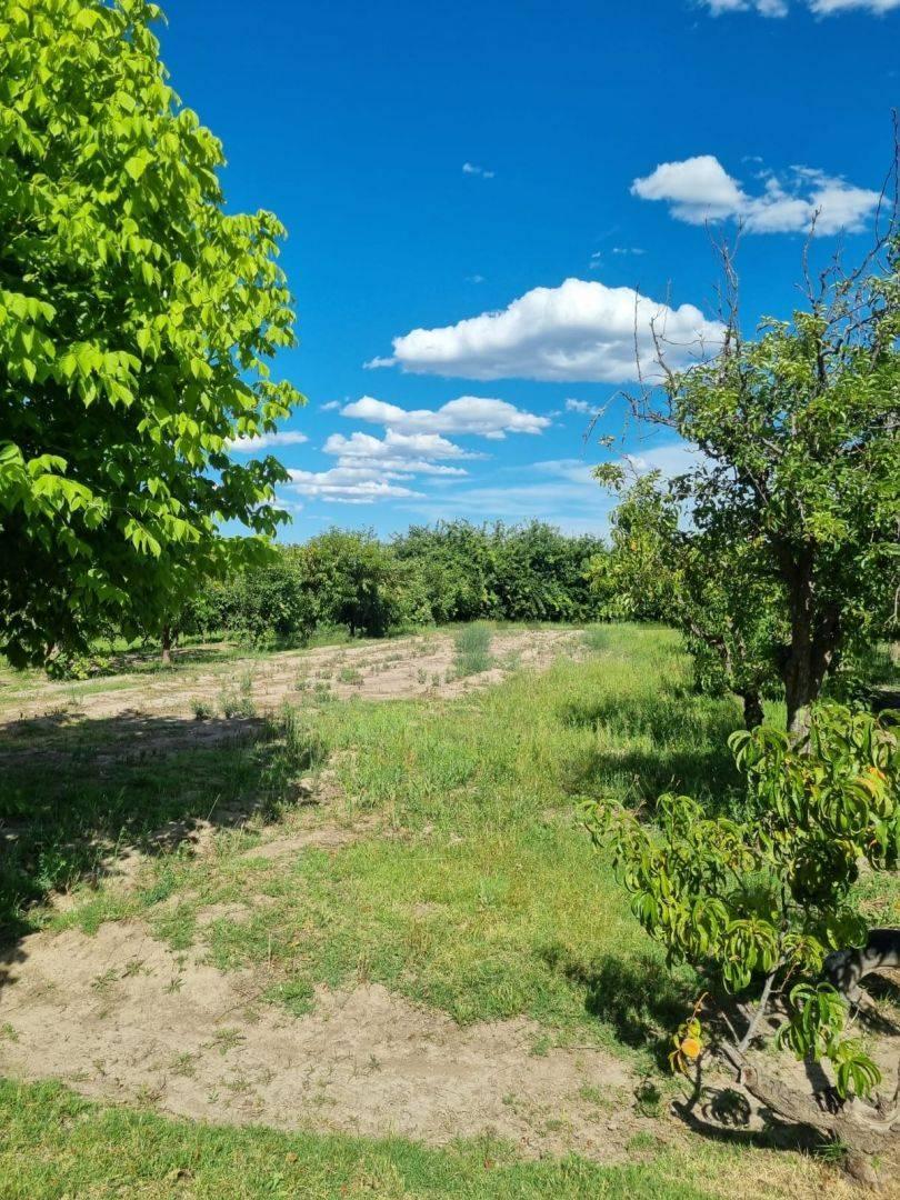 Venta Casa 7 Ambientes en San Rafael 5
