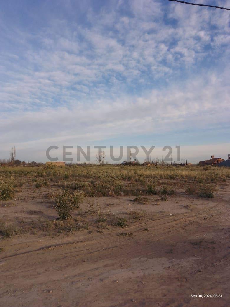 Venta Lote San Rafaelexcelente Oportunidad de Inversión en San Rafael, Mendoza. Se Vende un Ampl. 2