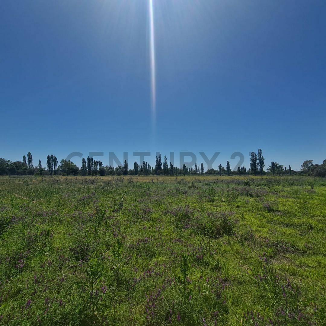 Venta Terreno en Rama Caida 3
