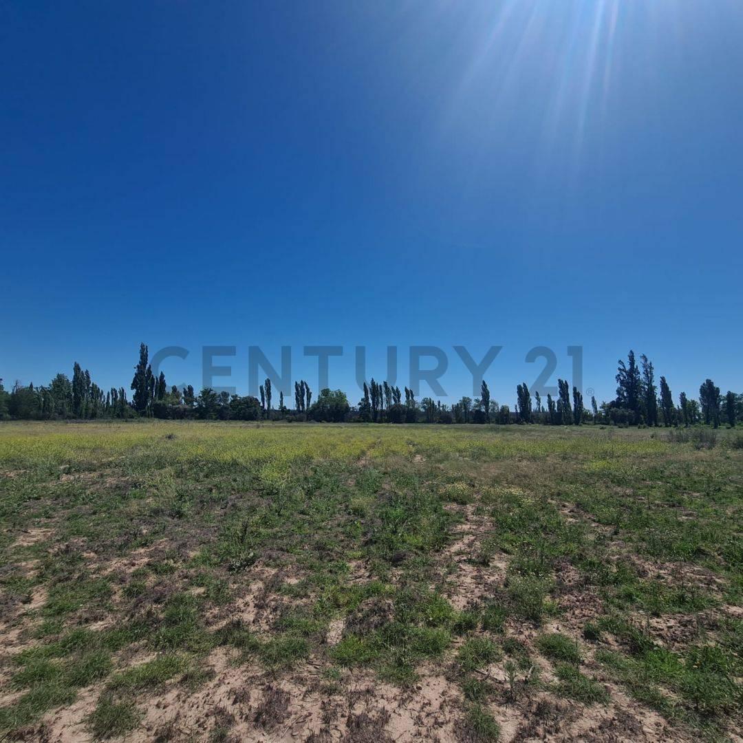 Venta Terreno en Rama Caida 1