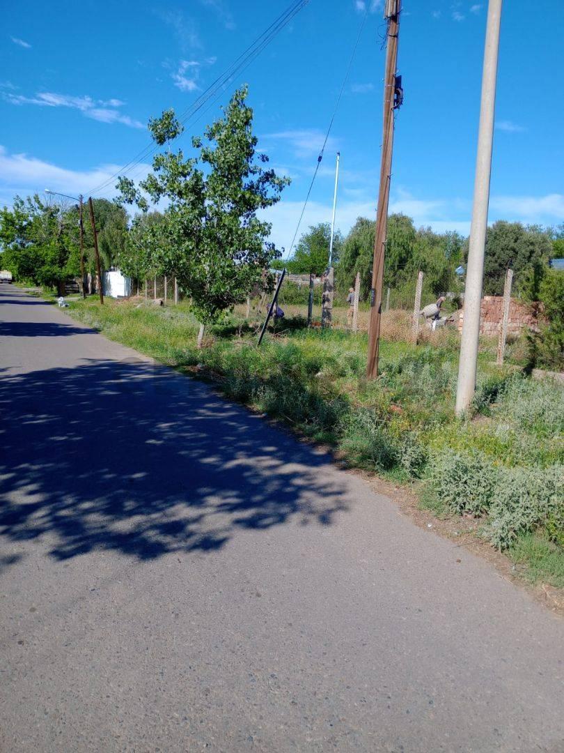 Venta de Lote en San Rafael 4
