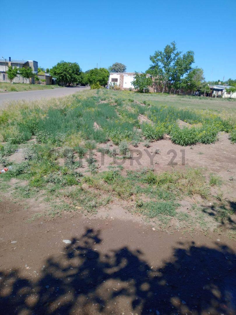 Venta de Lote en San Rafael 1