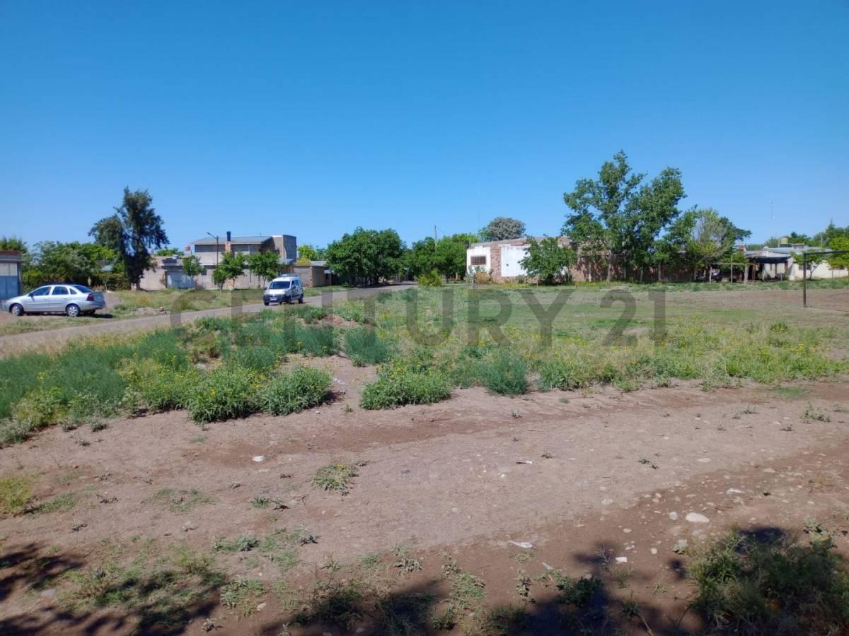 Venta de Lote en San Rafael 4