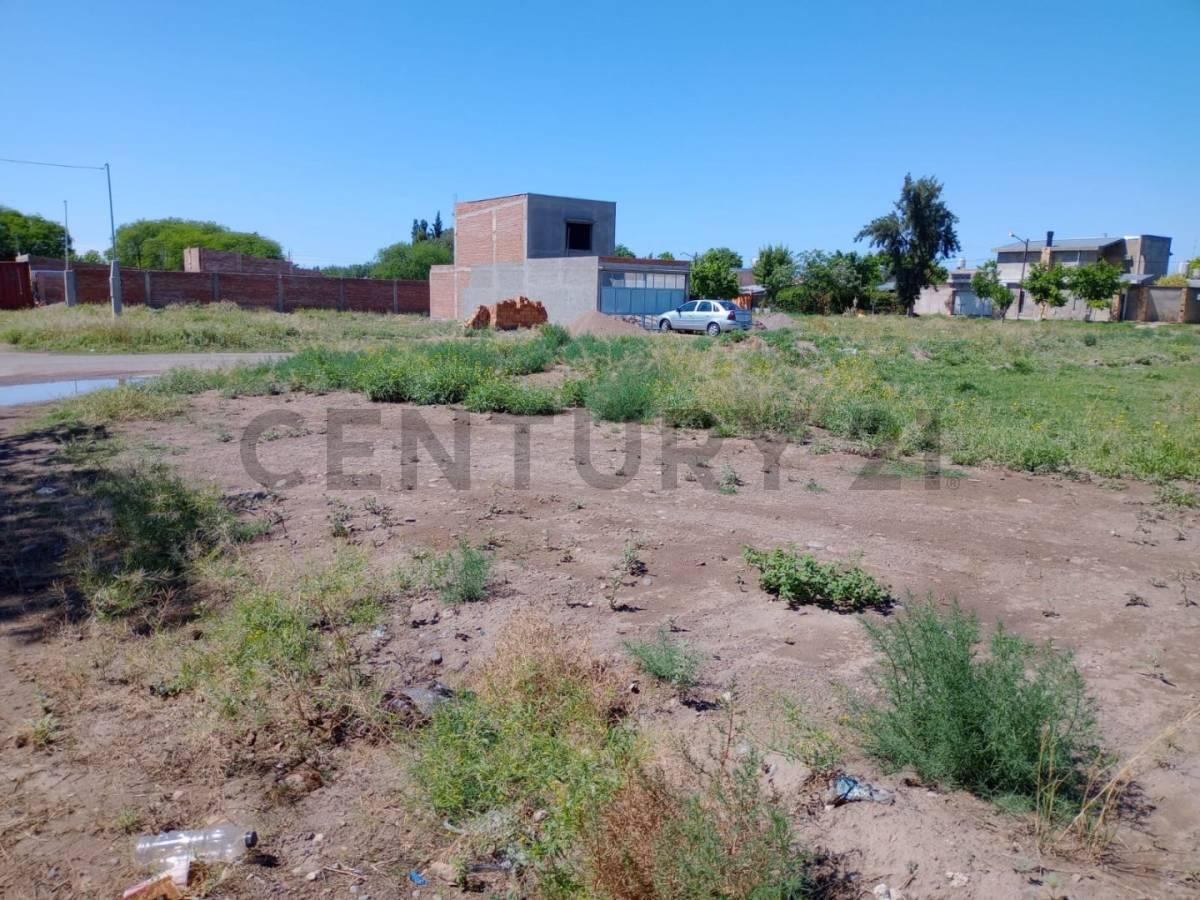 Venta de Lote en San Rafael 5