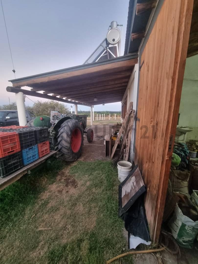 Venta Finca de 20 Hectáreas en San Rafael 4