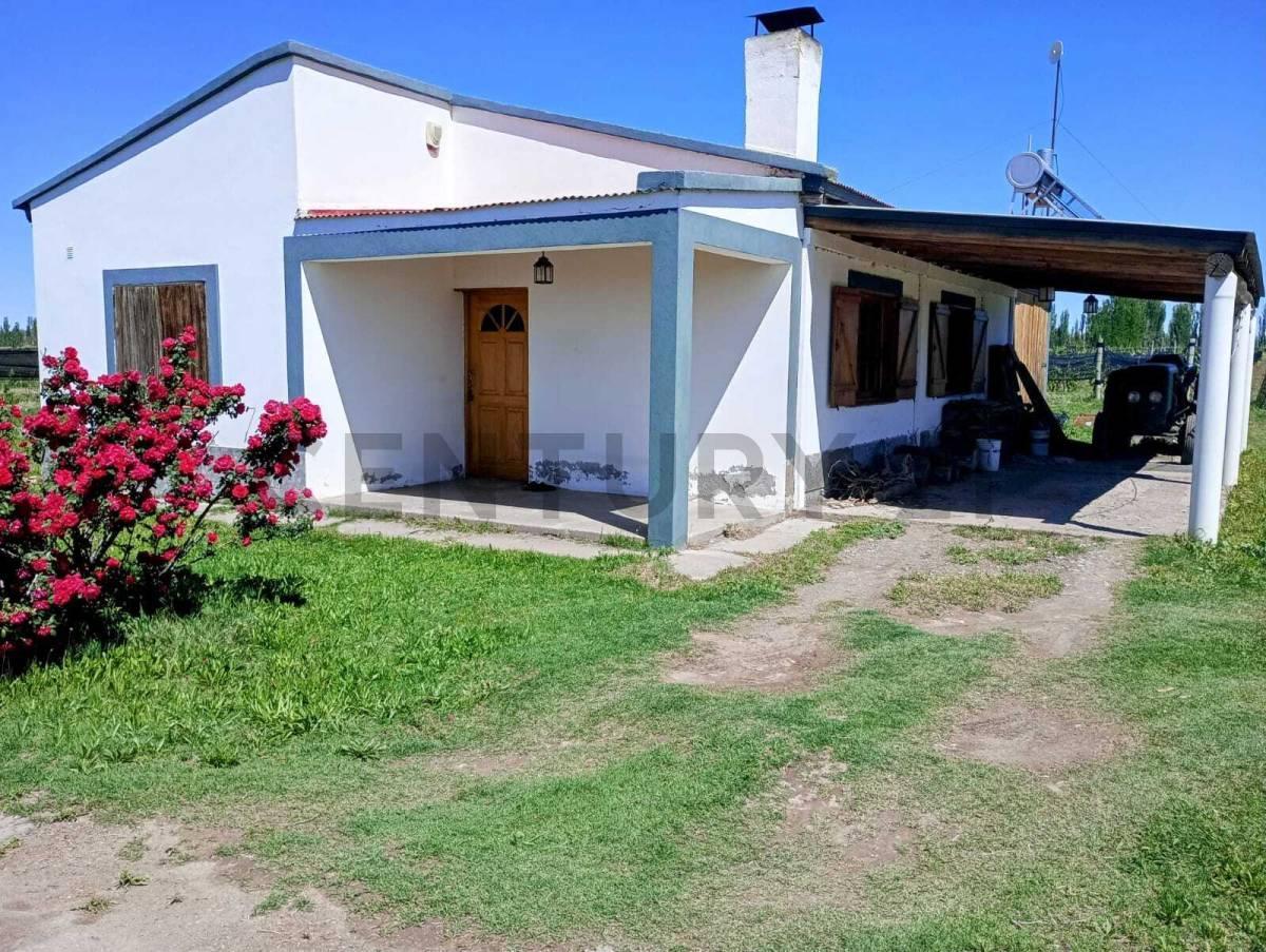 Venta Finca de 20 Hectáreas en San Rafael 3