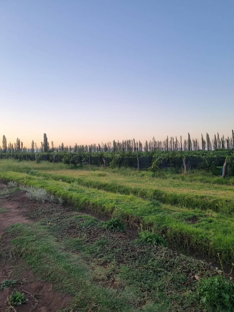 Venta Finca de 20 Hectáreas en San Rafael 1