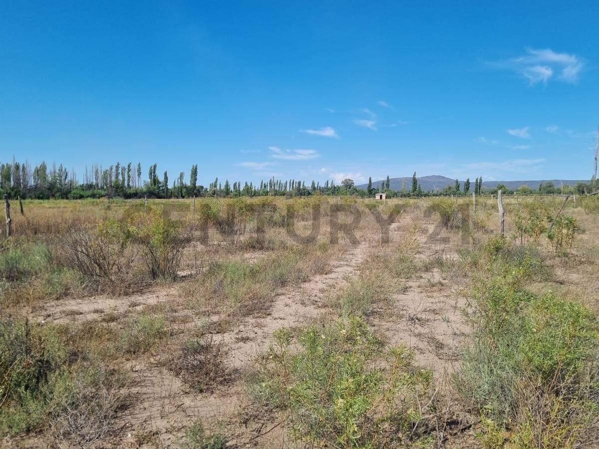 Venta Lote en Rama Caída, San Rafael 3