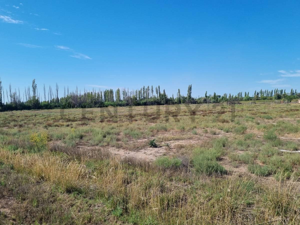 Venta Lote en Rama Caída, San Rafael 1