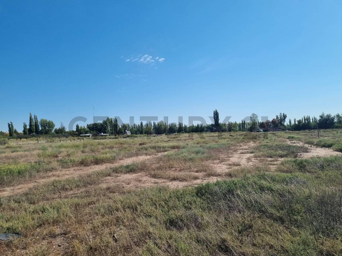 Venta Lote en Rama Caída, San Rafael 3