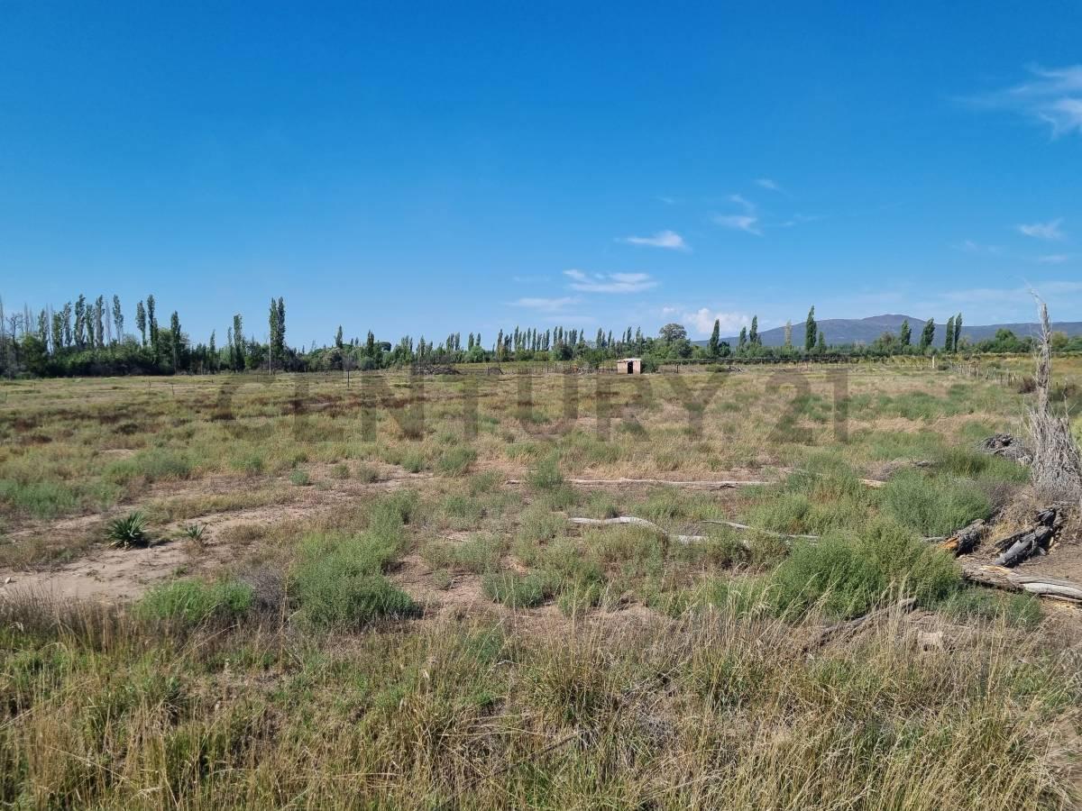 Venta Lote en Rama Caída, San Rafael 5