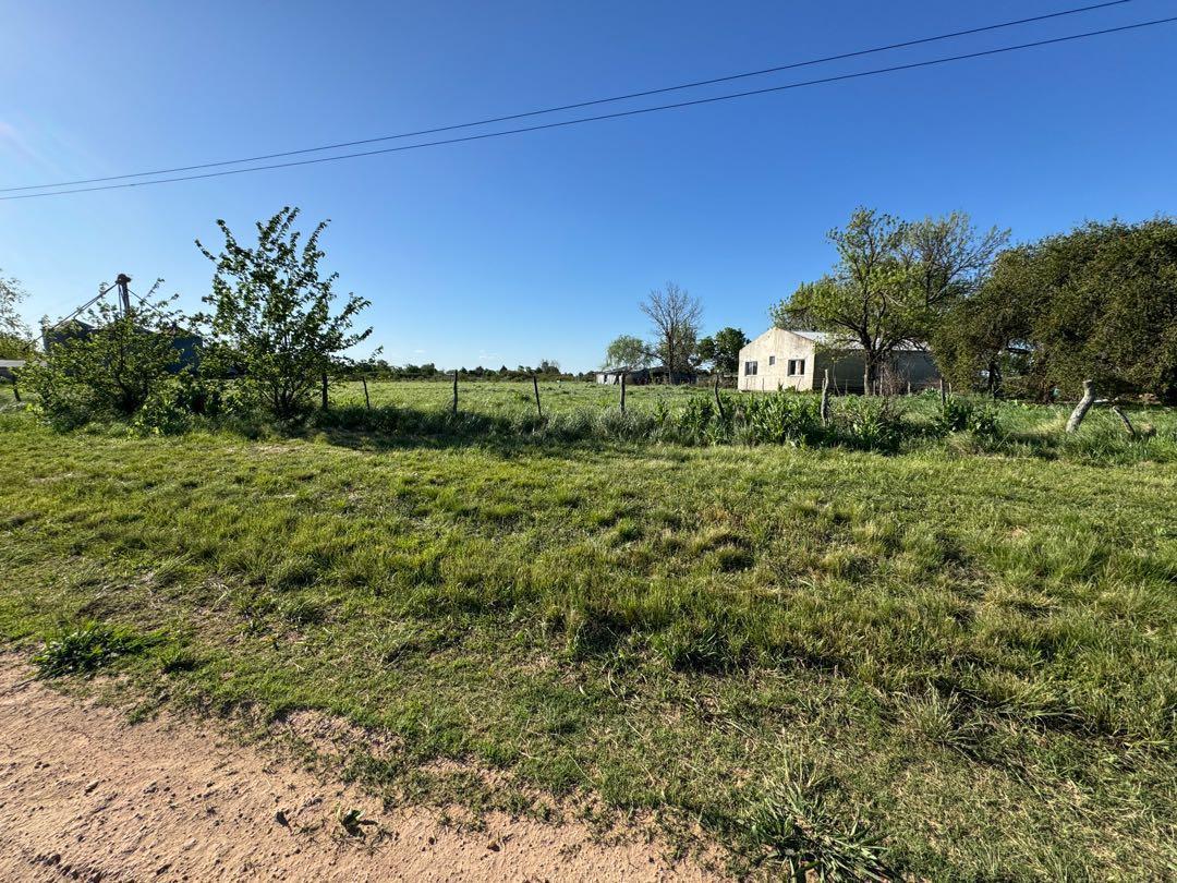 Foto de Vendo Terreno grande de 2400 m2. en Herrera, Entre Ríos., imagen 4