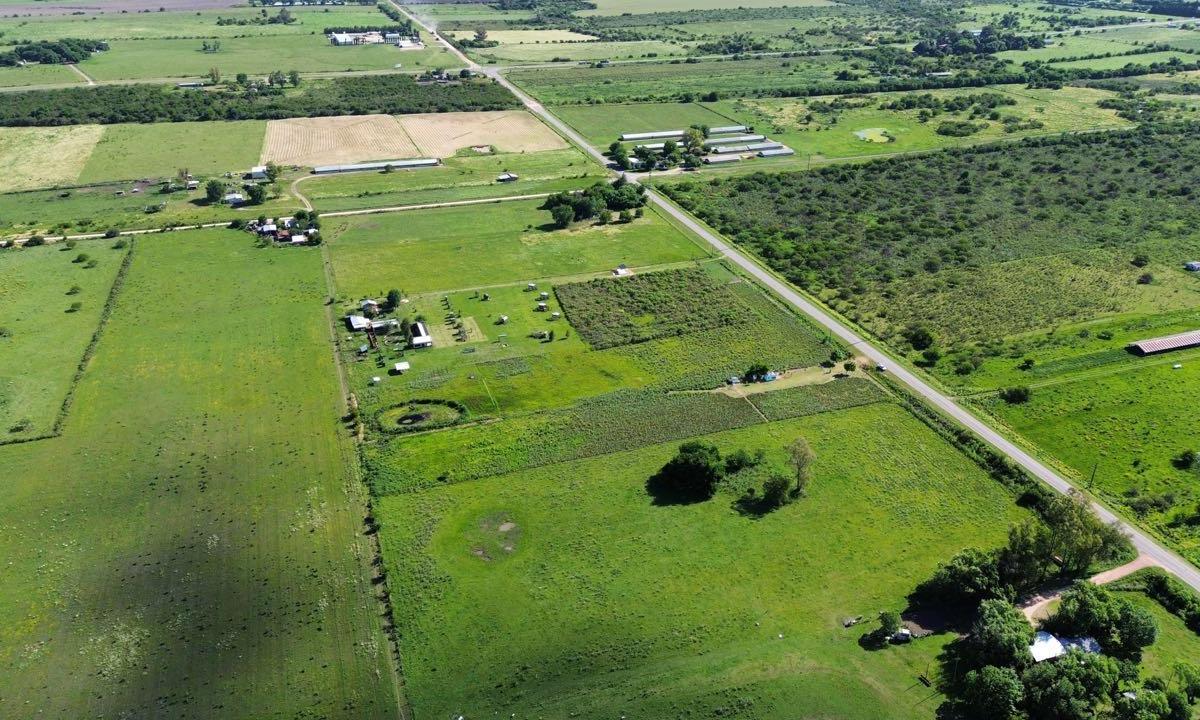 Foto de Vendo Campo de 3 Hectáreas en San Justo, Entre Ríos., imagen 3