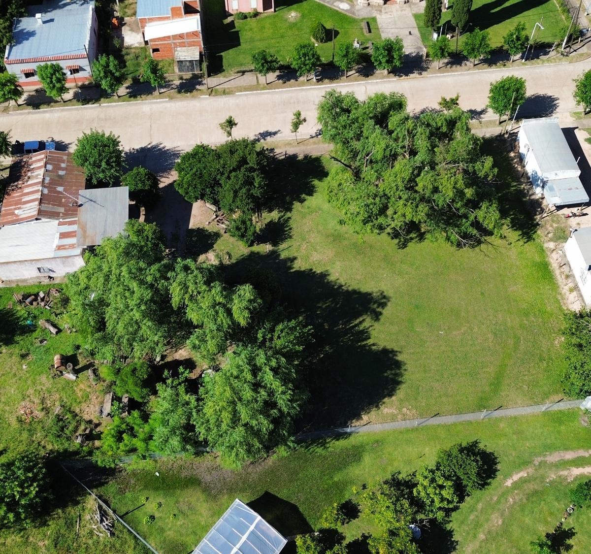 Foto de Vendo Tres Terrenos de 347 m2 C/U en Pronunciamiento, Entre Ríos., imagen 4