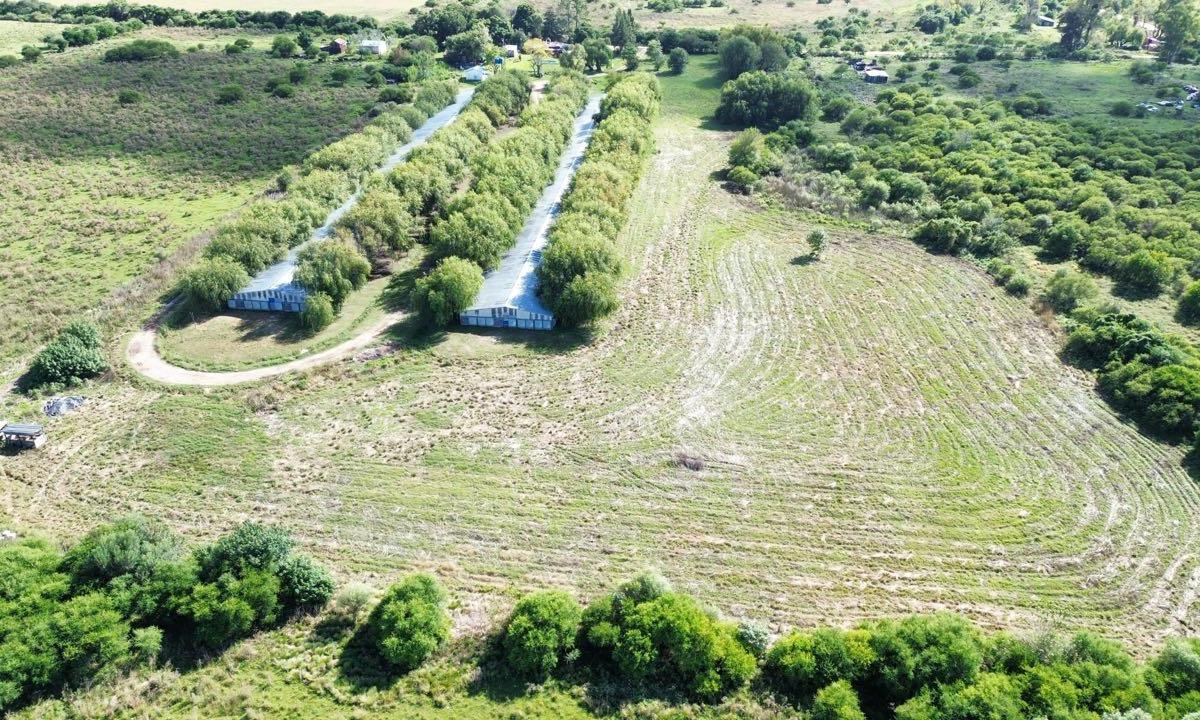 Vendo Granja Avicola en Concepción Del Uruguay, Entre Ríos.